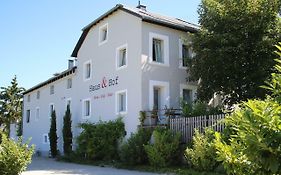 Haus & Hof Guest House